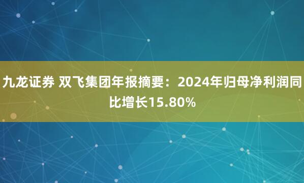 九龙证券 双飞集团年报摘要：2024年归母净利润同比增长15.80%